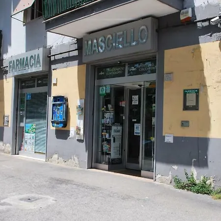 Alpivida * Napoli